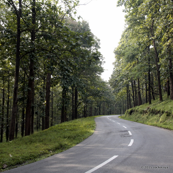 Cochin to Wayanad Road